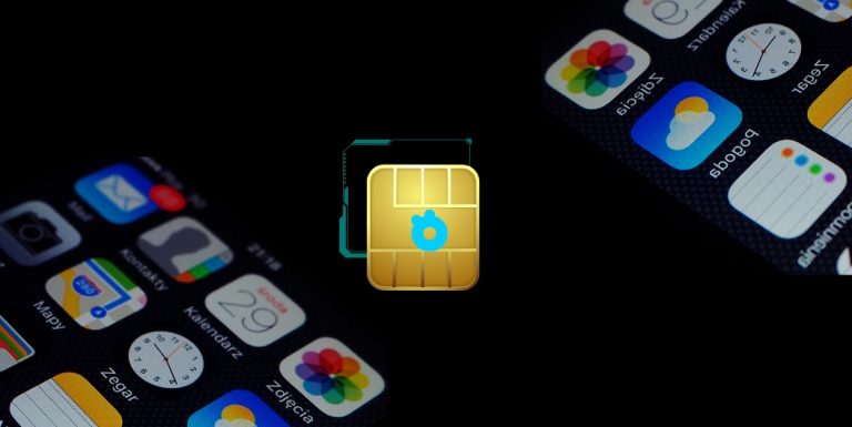 Best Free Government eSIM for iPhone