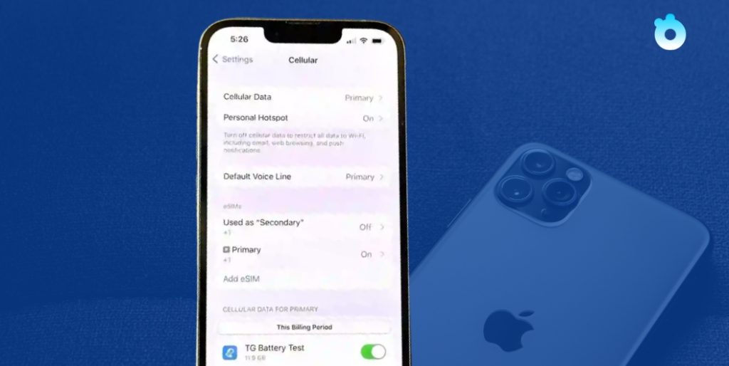 Dual SIM and eSIM SMS setup on iPhone